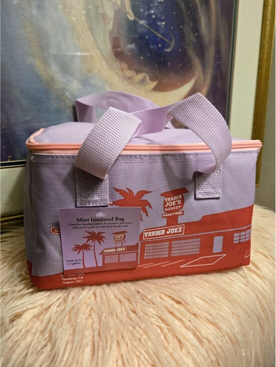 Trader Joe\'s 6 set of Mini Insulated Lunch Bag Striped Multicolor Zipper NWT main image 2